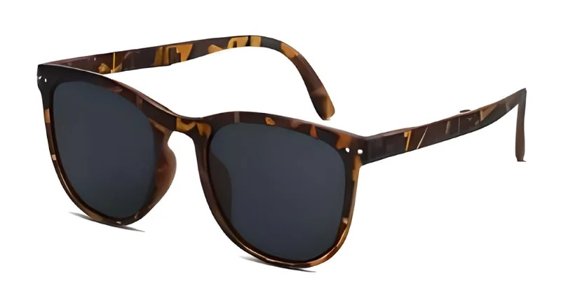 Tortoiseshell - Black lens